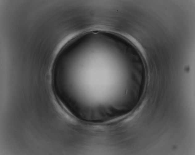 X0000094931341200712131528
