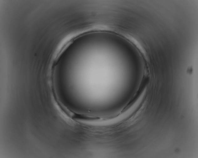 X0000094931342200712131528