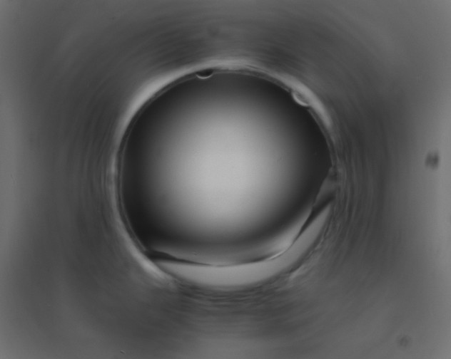 X0000094931343200712131528