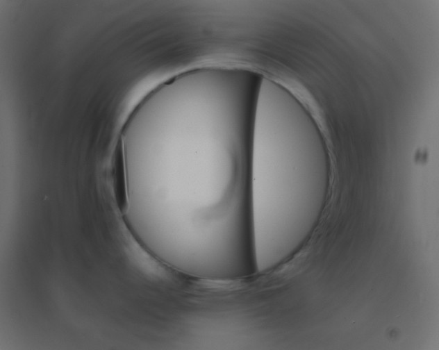 X0000094931344200712131529