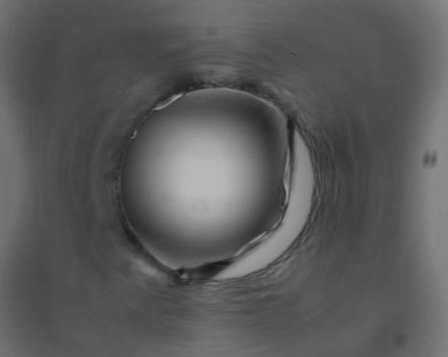 X0000094931345200712131528