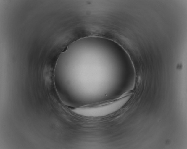 X0000094931346200712131528
