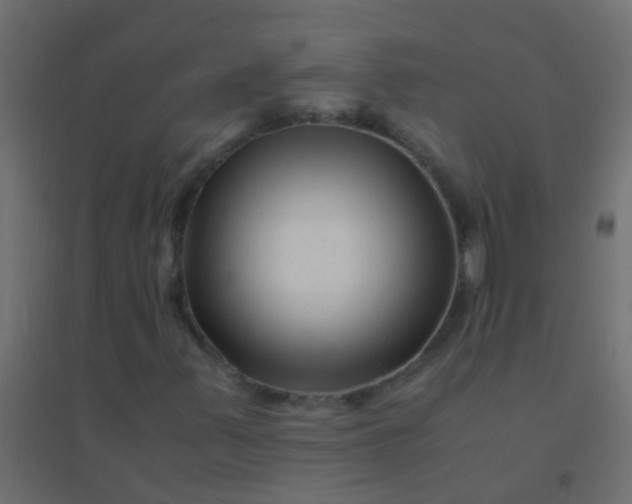 X0000094931347200712131528