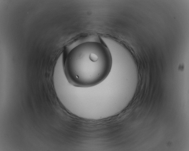 X0000094931348200712131528
