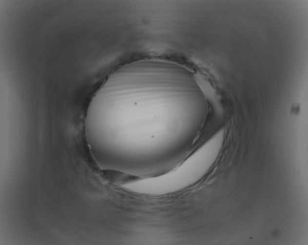 X0000094931349200712131528