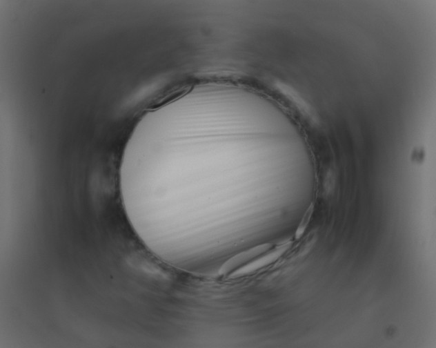 X0000094931350200712131528