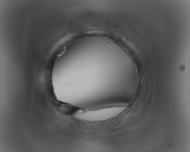 X0000094931351200712131528