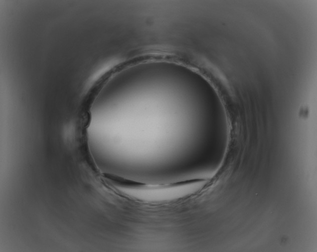 X0000094931352200712131528