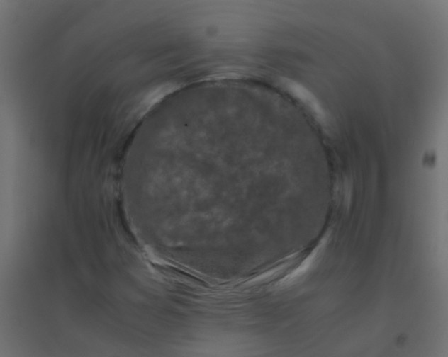 X0000094931353200712131528