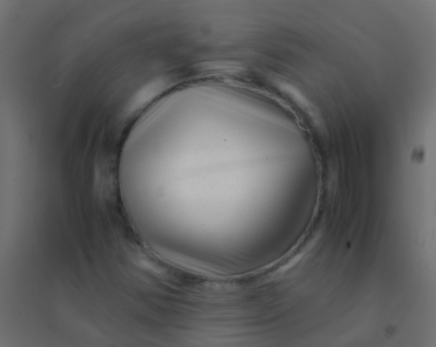 X0000094931354200712131528