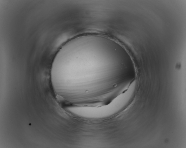 X0000094931355200712131528