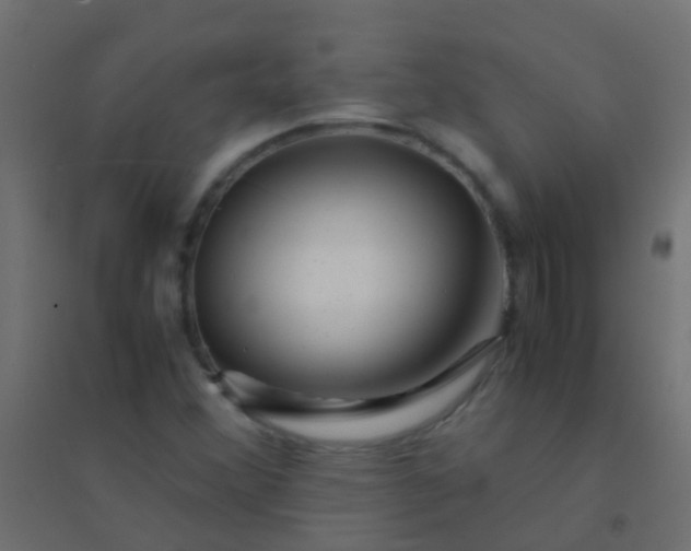 X0000094931356200712131528