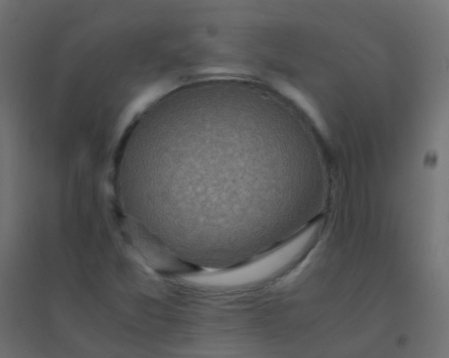 X0000094931357200712131528
