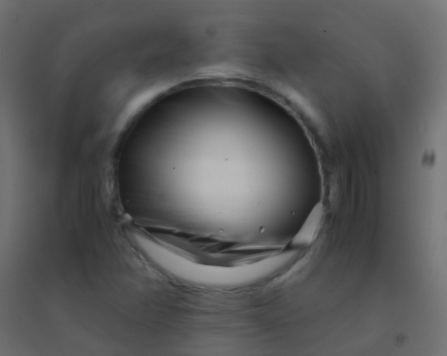 X0000094931358200712131528