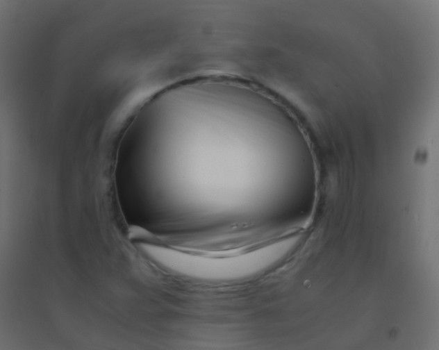 X0000094931359200712131528