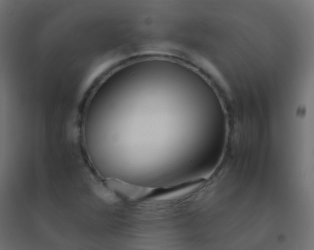 X0000094931360200712131528