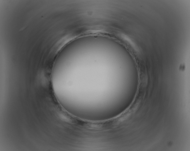 X0000094931361200712131528