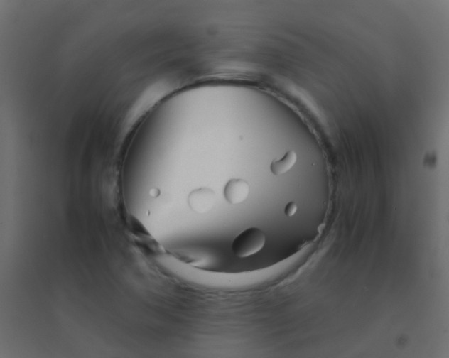 X0000094931362200712131528