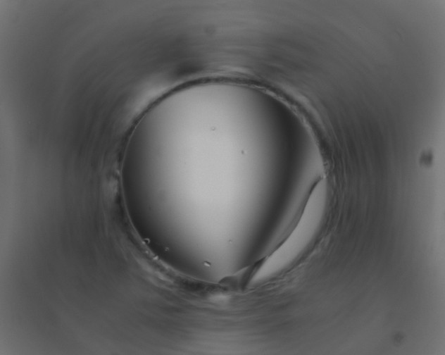 X0000094931363200712131528