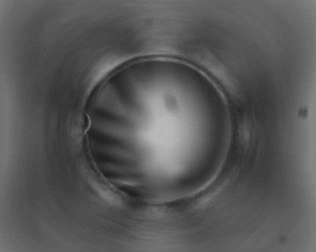 X0000094931364200712131528