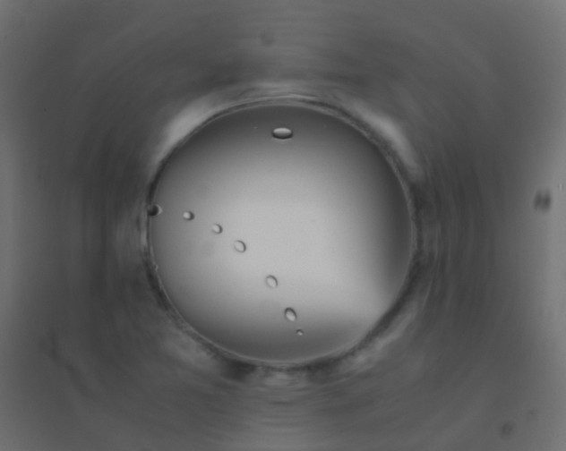 X0000094931365200712131528