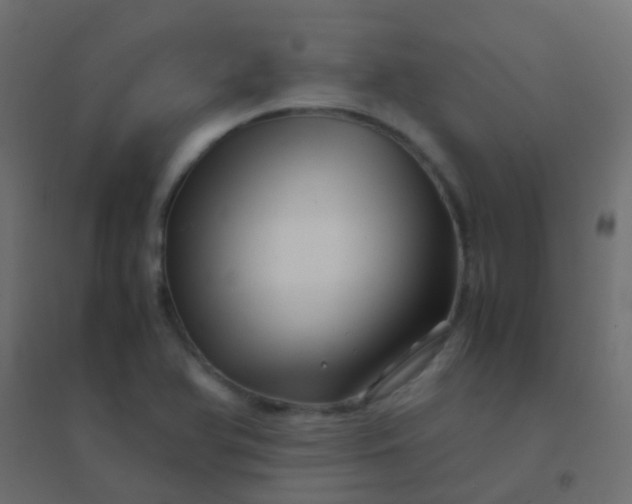 X0000094931366200712131528