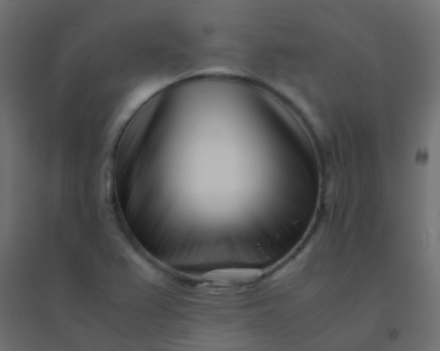 X0000094931367200712131528