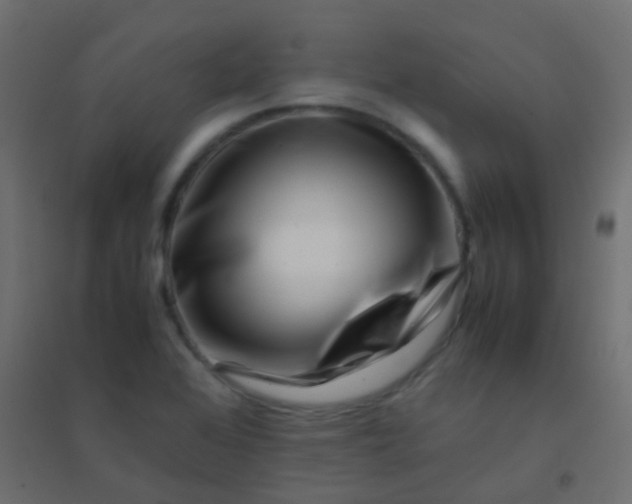 X0000094931368200712131528