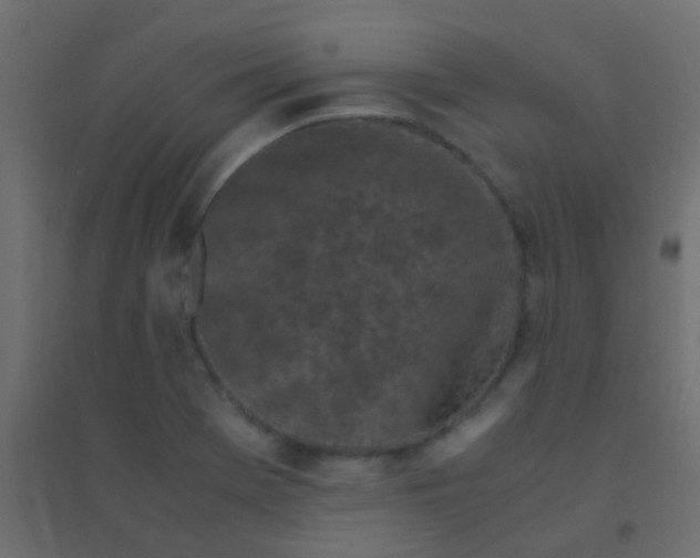 X0000094931369200712131528