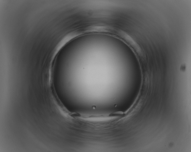 X0000094931370200712131528