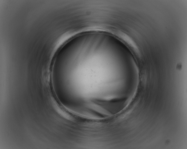 X0000094931372200712131527