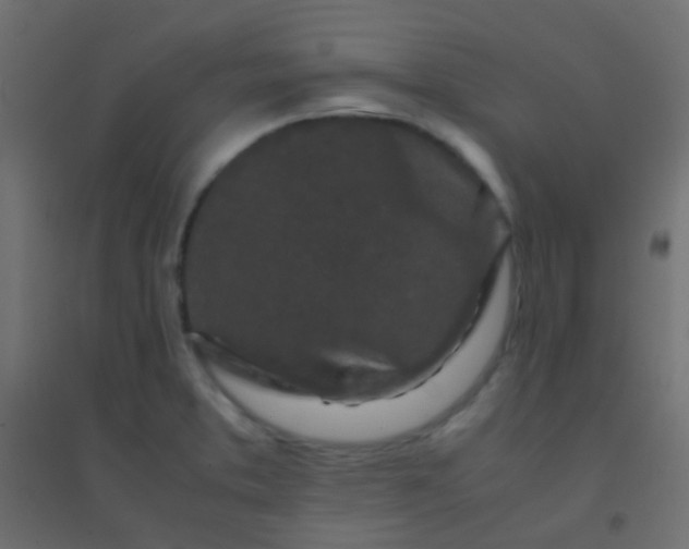 X0000094931373200712131527