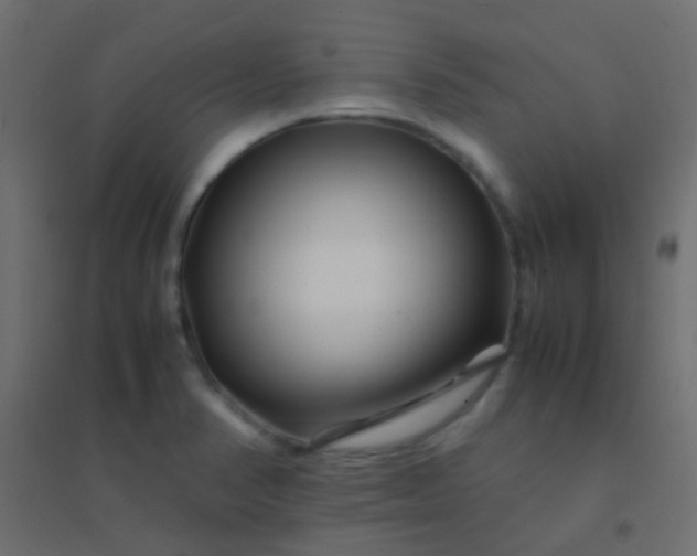 X0000094931374200712131527