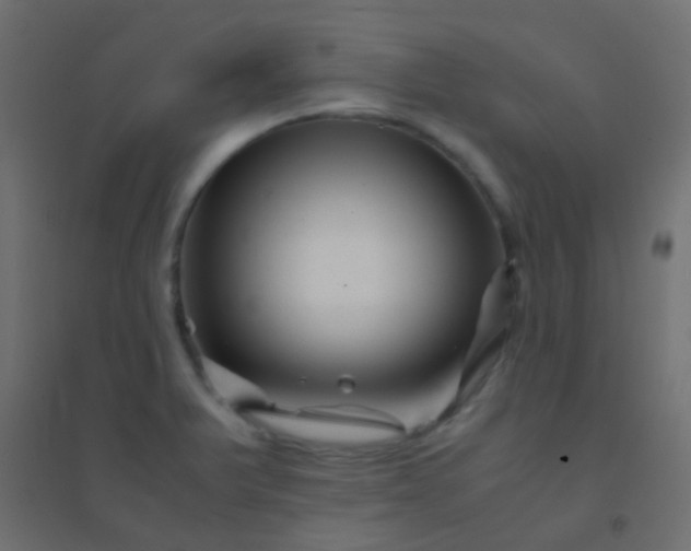 X0000094931375200712131527