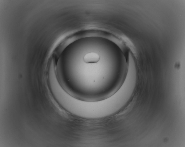 X0000094931376200712131527