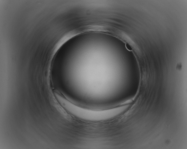 X0000094931378200712131527