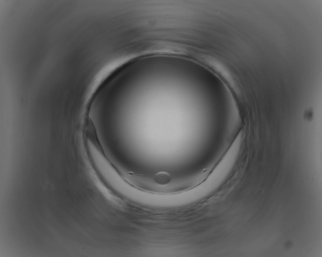 X0000094931379200712131527