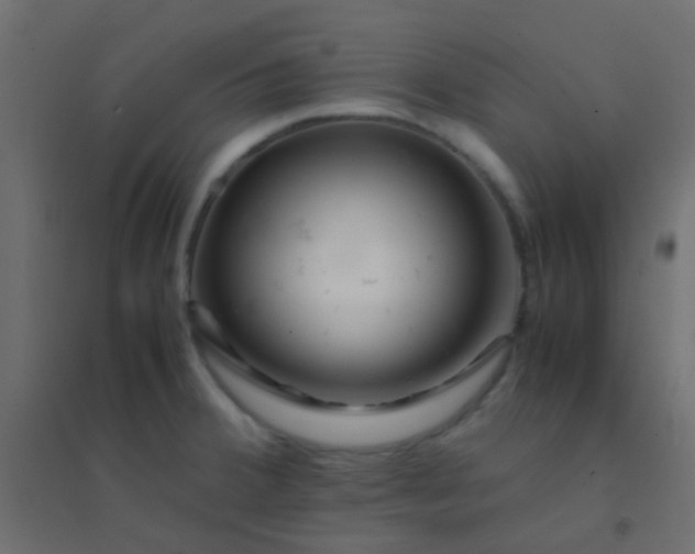 X0000094931380200712131527