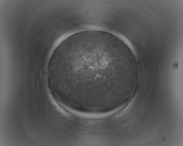 X0000094931381200712131527