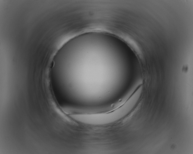 X0000094931382200712131527