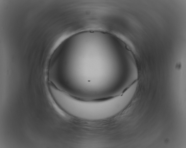 X0000094931383200712131527