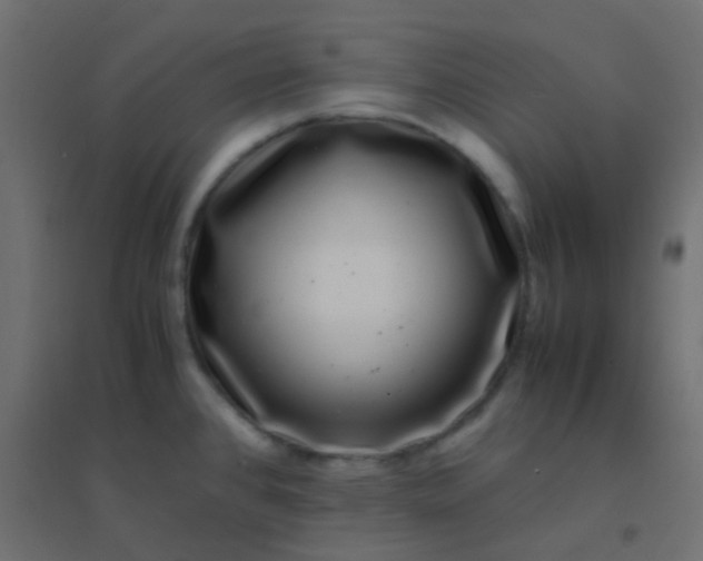 X0000094931384200712131527
