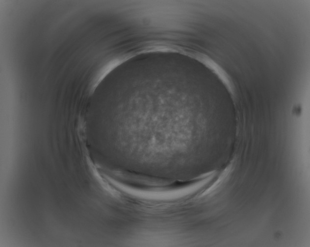 X0000094931385200712131527