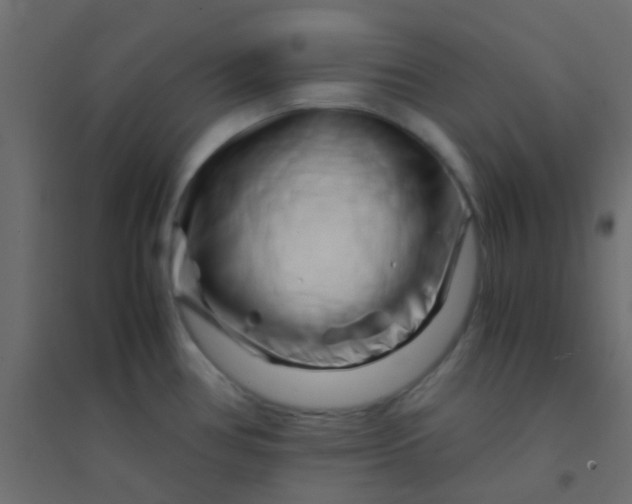 X0000094931386200712131527