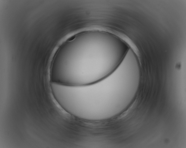 X0000094931388200712131527