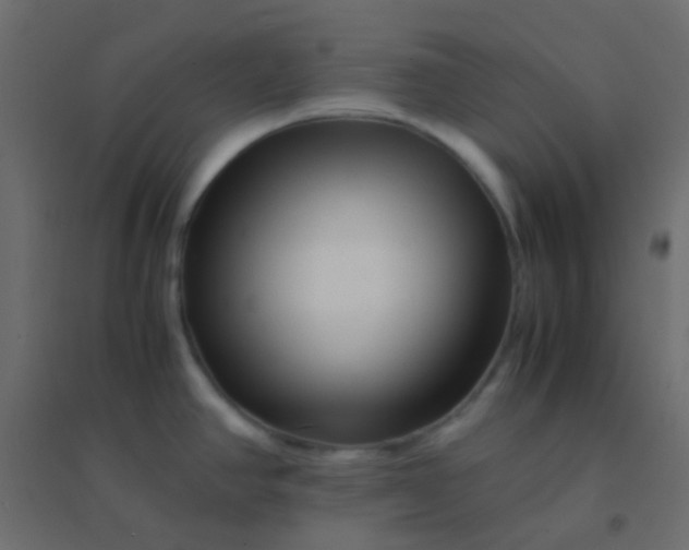X0000094931390200712131527