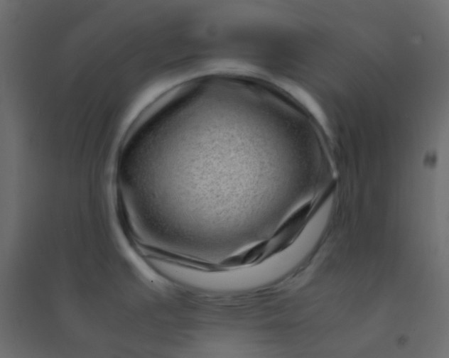X0000094931391200712131527