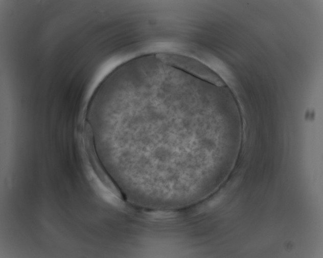 X0000094931392200712131527