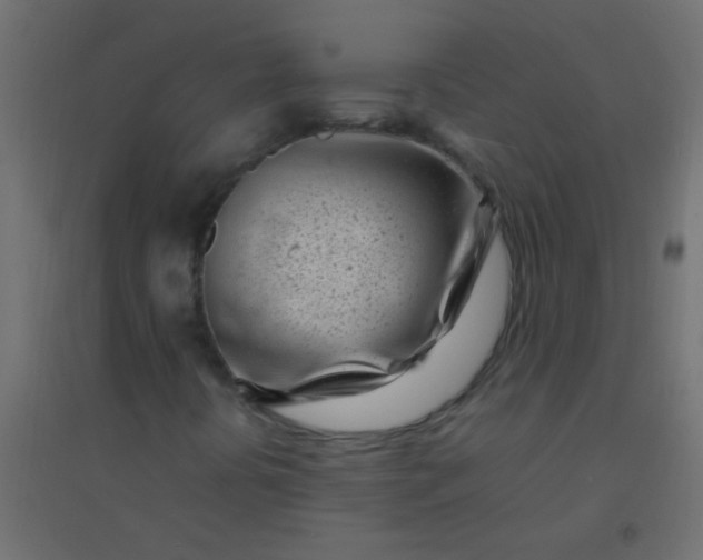 X0000094931394200712131526