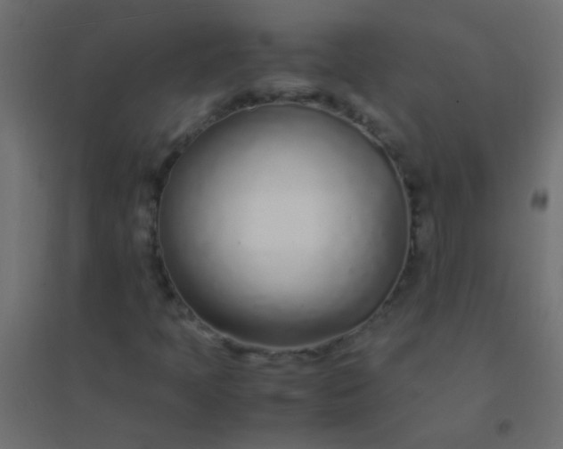 X0000094931397200712131526